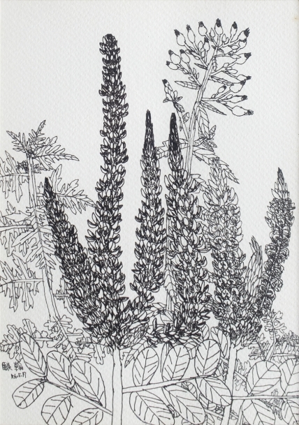 陳駿翰 - 狗尾草